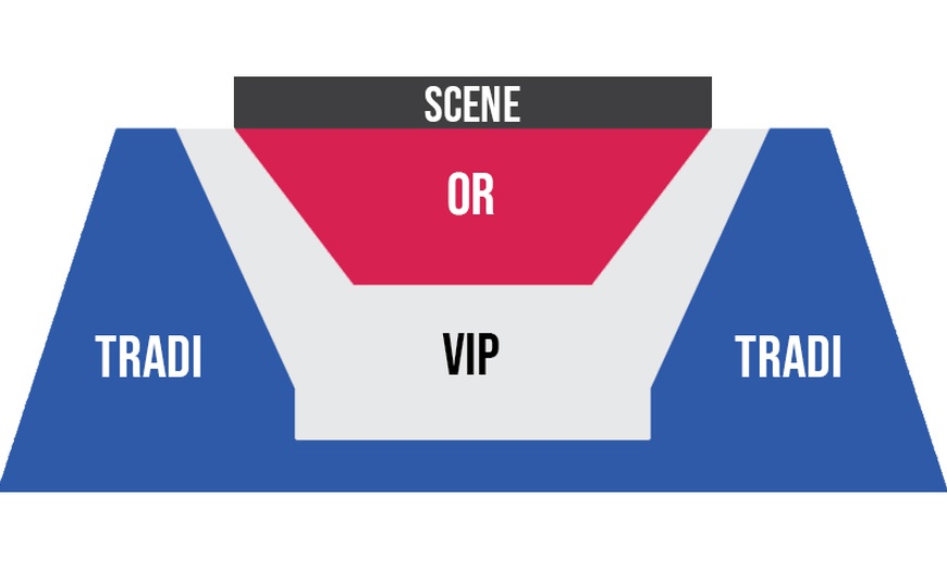 Image 2: ''Céline part en live'' : 2 places avec ou sans dîner à Reims