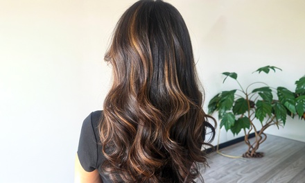 Shampoo, Deep Conditioning, Haircut & Blowout - Studio 3 1 6 Salon