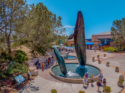 Child Admission - Birch Aquarium San Diego, California