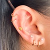 Image 2:  Jewelry Ear Seeding w/ 24k Gold/Silver Pellets for Overall Wellbeing
