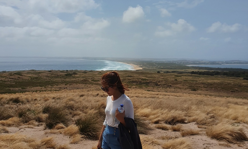 Image 5: Great Ocean Road or Phillip Island Penguin & Koala Day Guided Day Tour