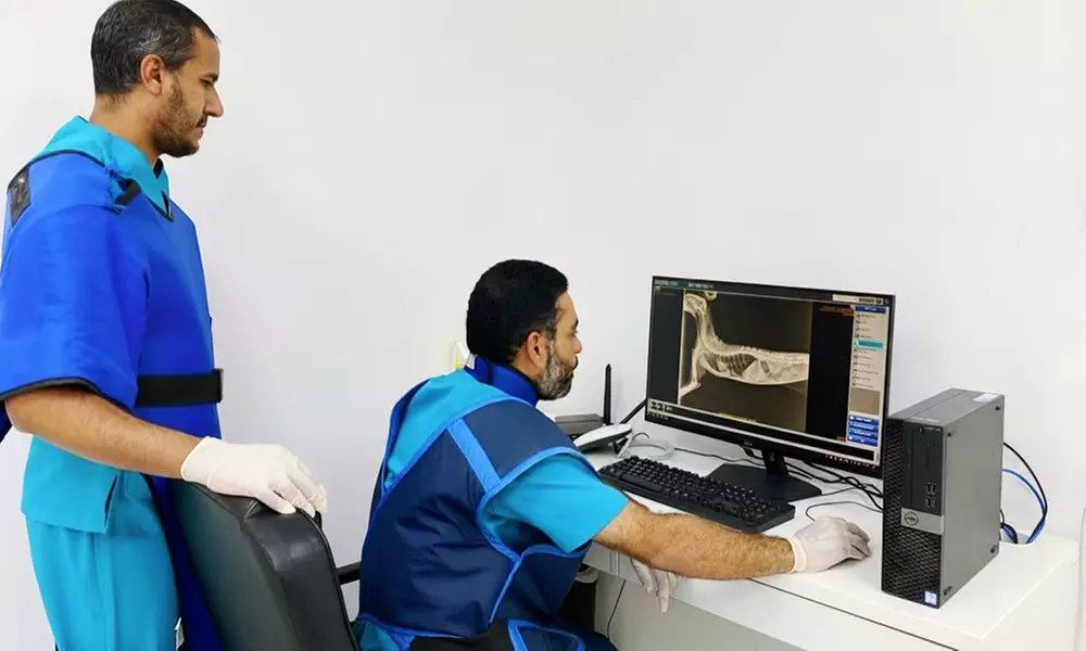 Pet Grooming & Vaccine Care (Consultation, PCH/DHPPI, and Deworming)