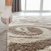 Image 1: Professional Carpet Cleaning and Deodorizing for 2 to 5 Rooms