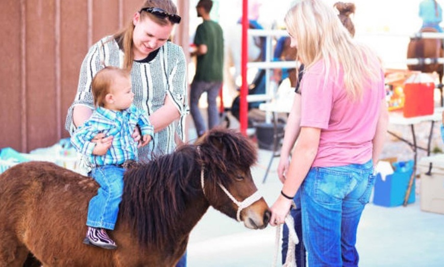 Image 4: Paseo en poni para niños con La Finca Pony Club