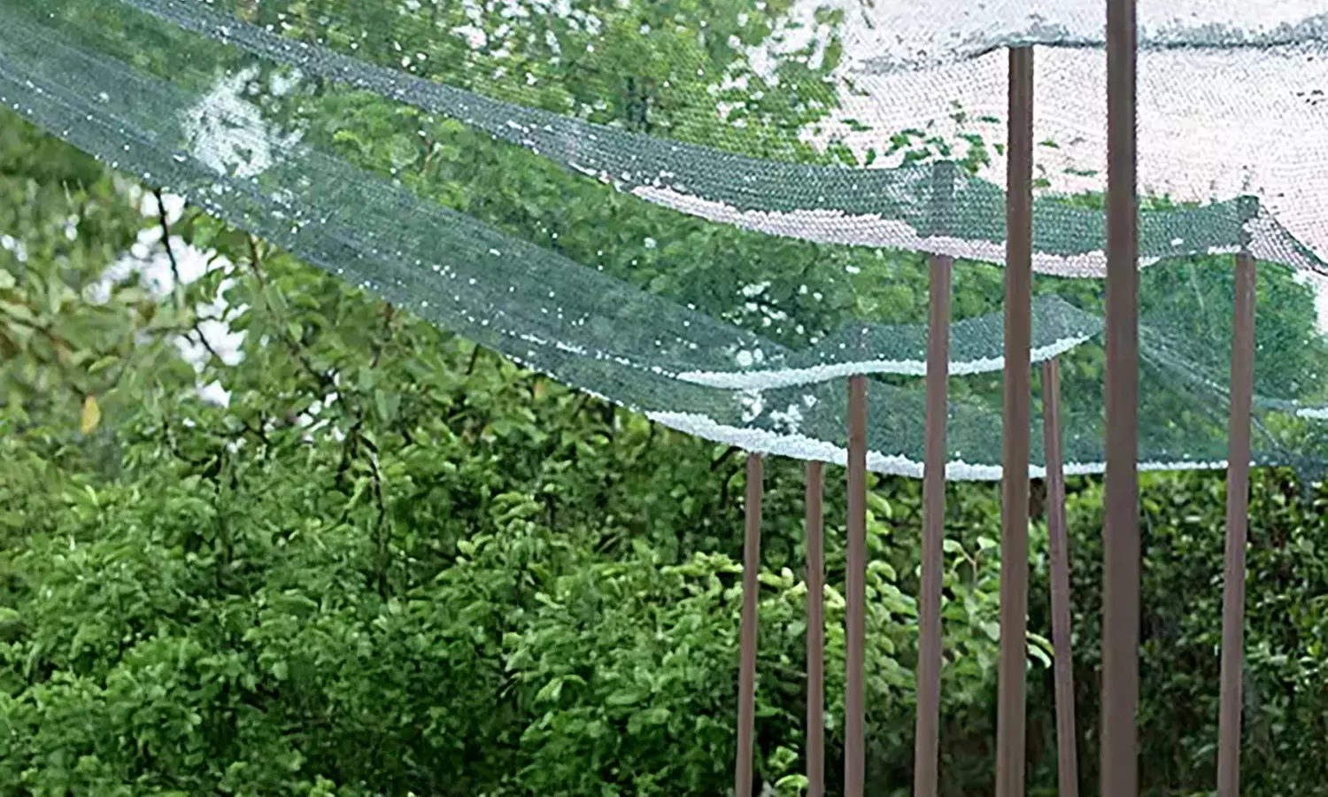 Malla antigranizo de doble tela reforzada para proteger cultivos