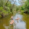 Image 10: Ticket to Narrabeen Sup Creek Tour for Up to 11 People