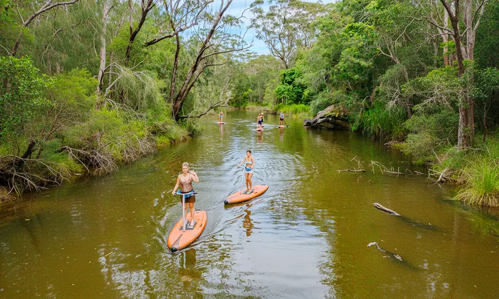 Ticket to Narrabeen Sup Creek Tour for Up to 11 People