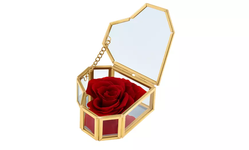 Image 10: Rosa eterna