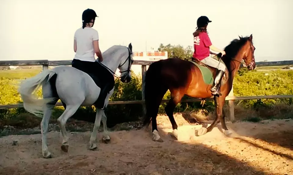 Aprende a montar a caballo: 6 clases de hípica para 1 o 2 personas