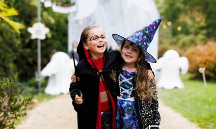 One Adult Ticket Friday 31st October 2025 - Follow Fox Events