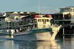 4-Hour 1PM Fishing w/ Rod in Sea Isle City, NJ for Up to 4 People with Starfish Fishing & Cruising LLC (Up to 40% Off) - Second Medium