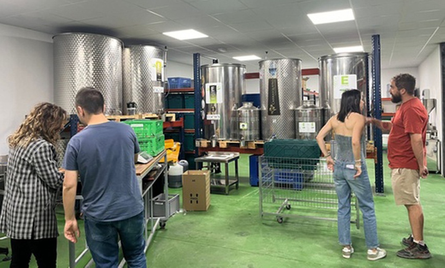 Image 4: Cata gourmet de aceite con visita guiada y regalo de bienvenida