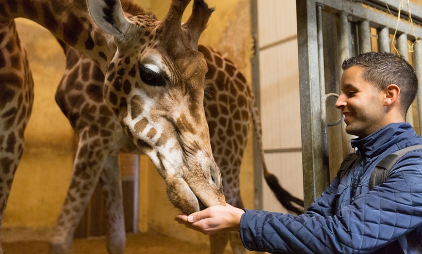 Image 8: Entrée adulte et enfant au Zoo de Jurques