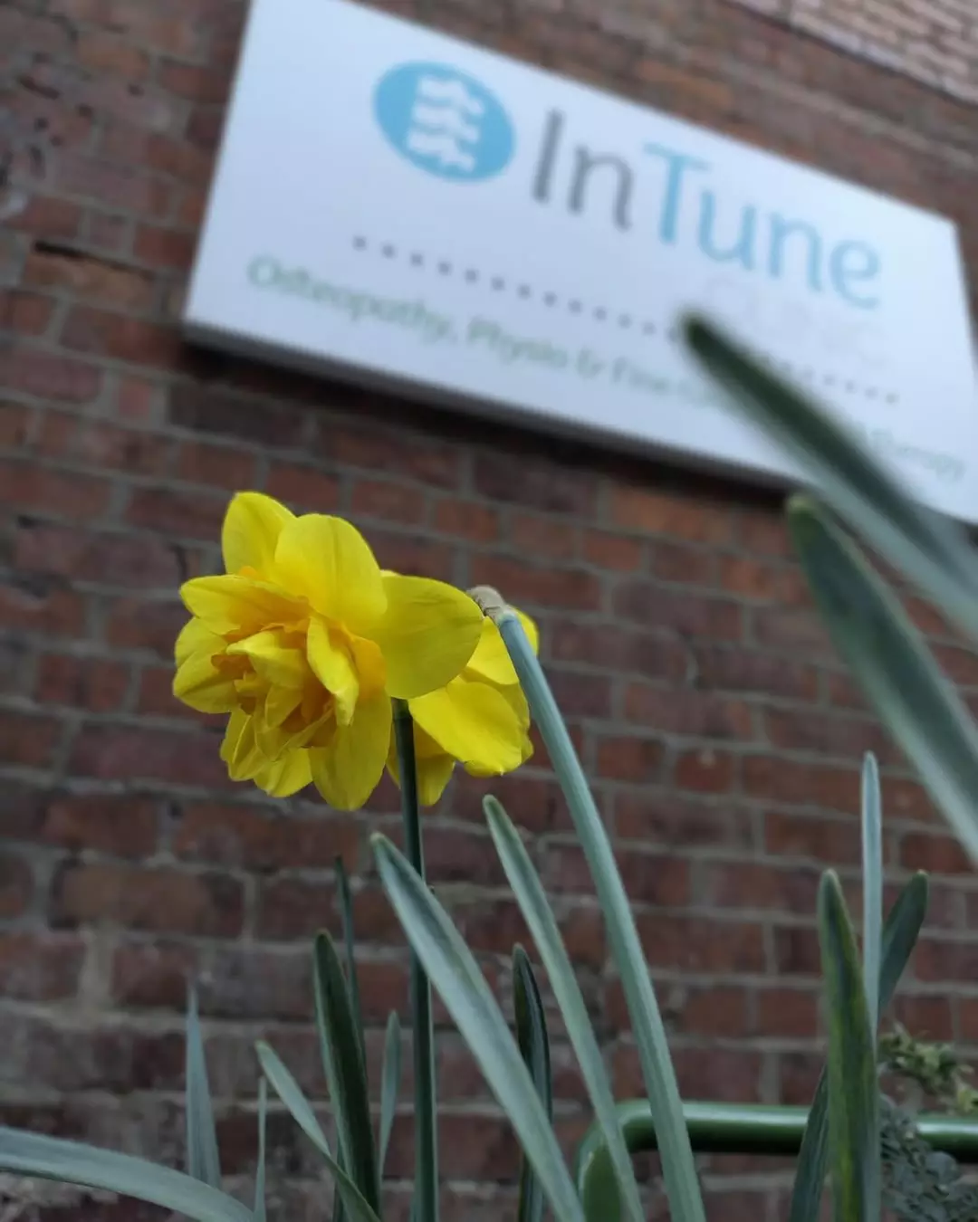 Massage - Deep Tissue at InTune Clinic