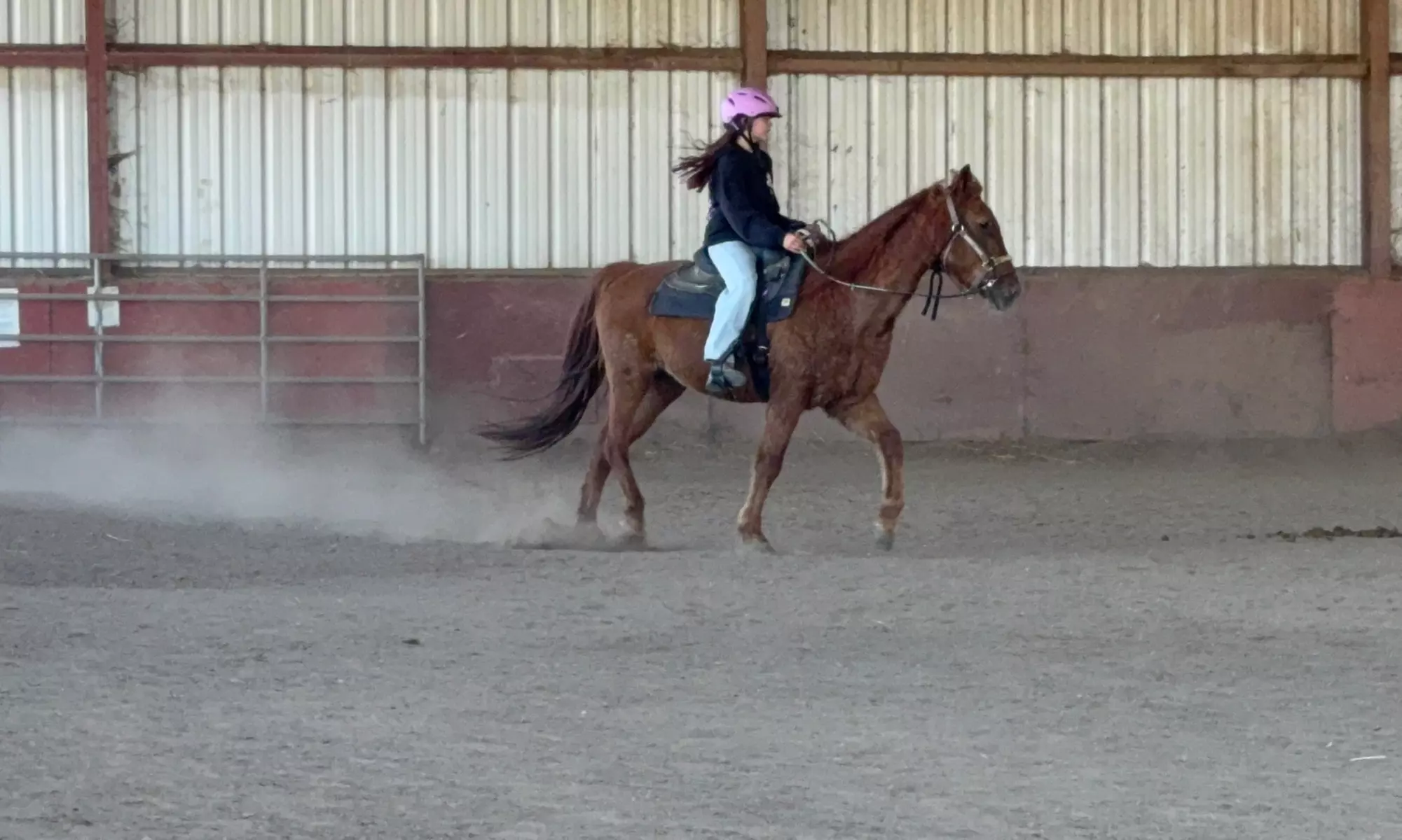Intro to Horses and Riding - Scenic Views and Confidence in Herald, CA