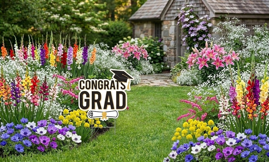 Image 2: Graduation Flower Bulb Collections