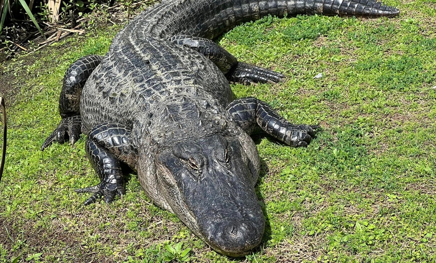 Image 1: Swamp Boat Tour for Two Adults - Up to 29% Off