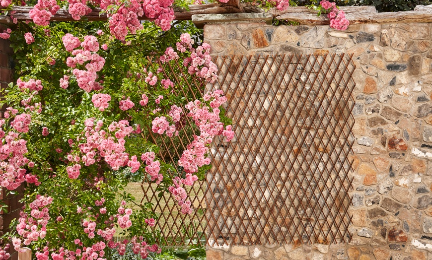 Image 1: Two or Four Extendable Willow Garden Trellises