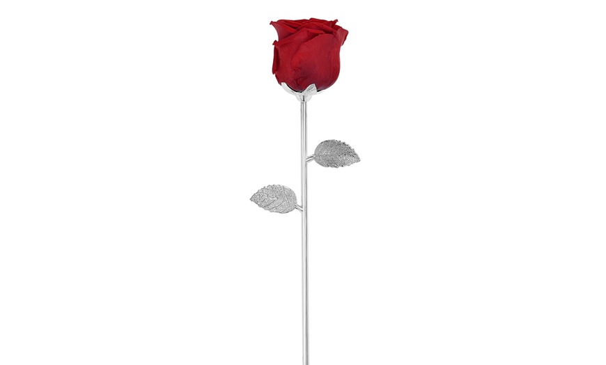 Image 2: Rosa eterna