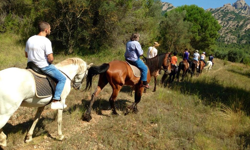 Image 6: ¡Descubre la emoción de cabalgar en Montserrat!