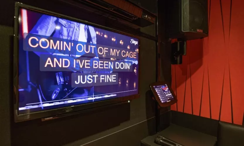 Sing Your Heart Out! 2 Hour Karaoke Booth, Drink & Small Plate