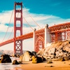 Image 2: Discover San Francisco with One day, Seven Day or a Year Pass 