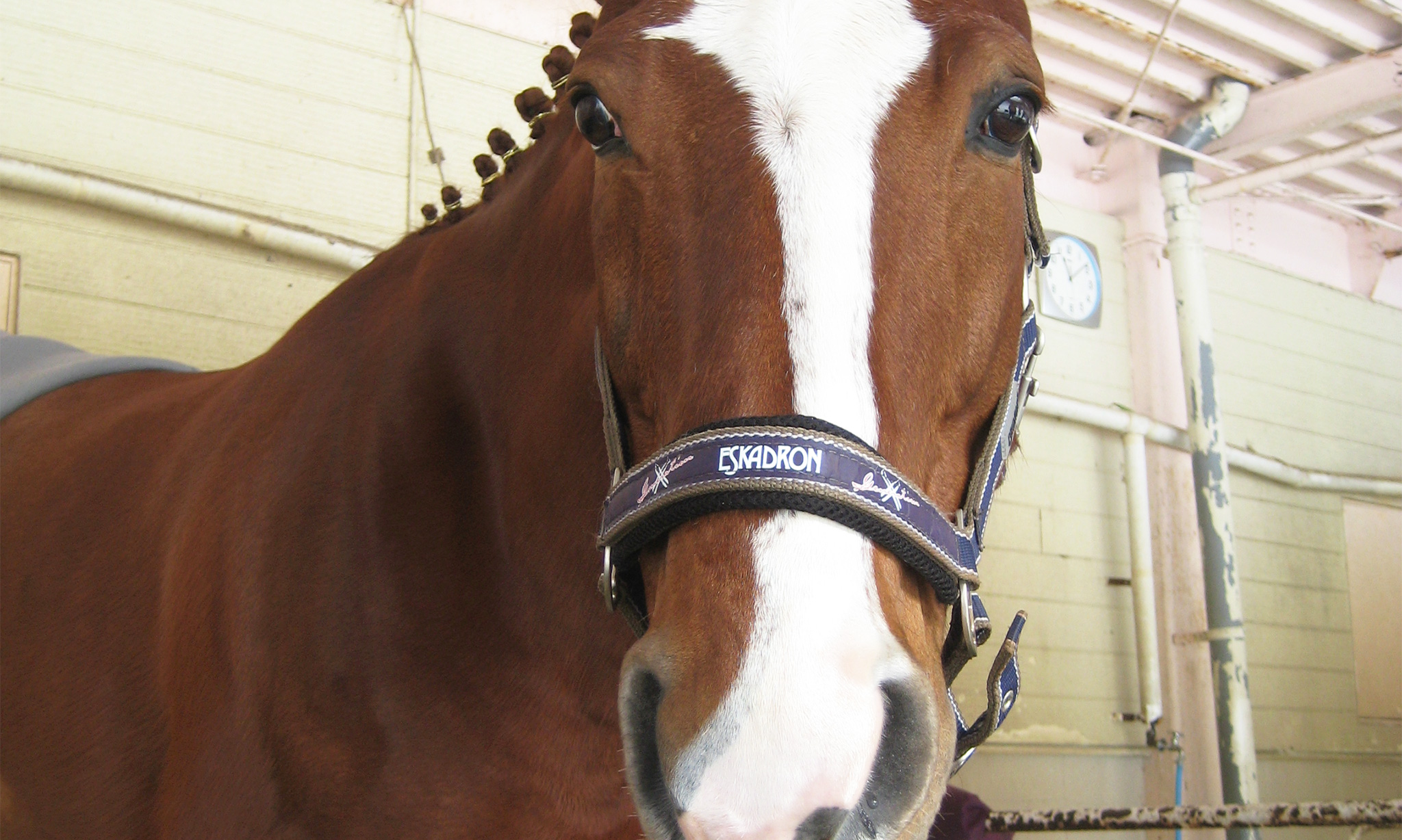 クーポン共同購入サイトのクーポンをまとめて比較 クーポンサイトjp