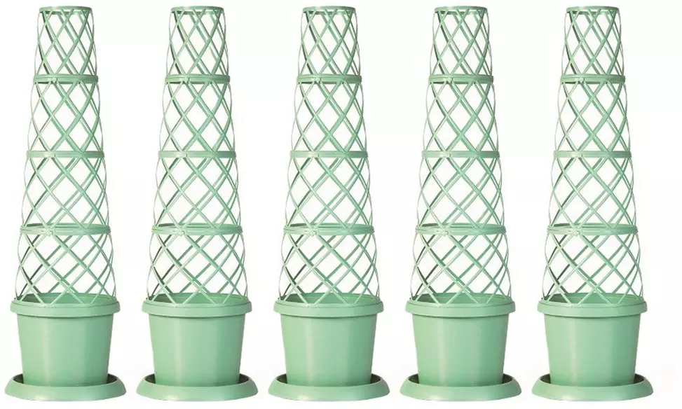 Up to Five Lattice-Design Tower Pots