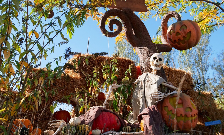 Image 17: Venez vivre la fantaisie de Saint-Exupéry au Parc du Petit Prince