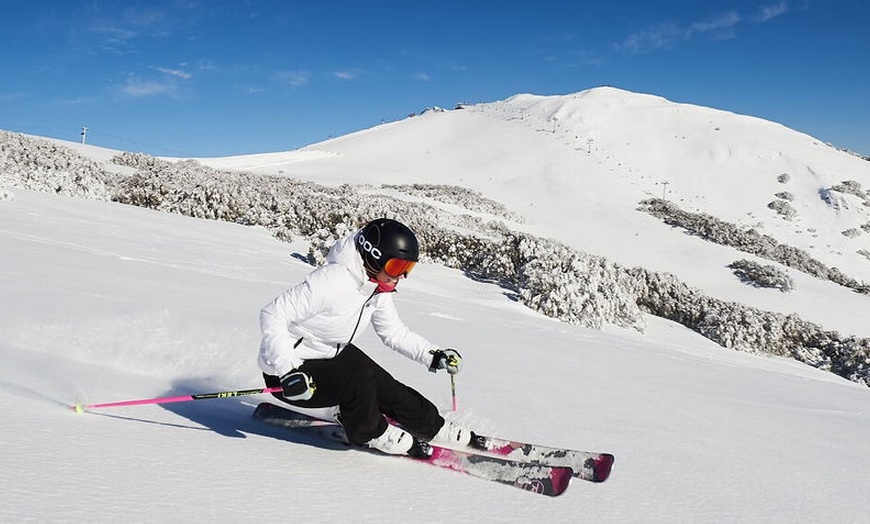 Image 4: Up to 20% Off on Tour - Guided at Sightseeing Tours Australia