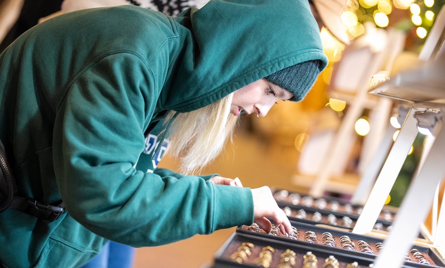 Image 4: Enchant Christmas Las Vegas – World's Largest Light Maze