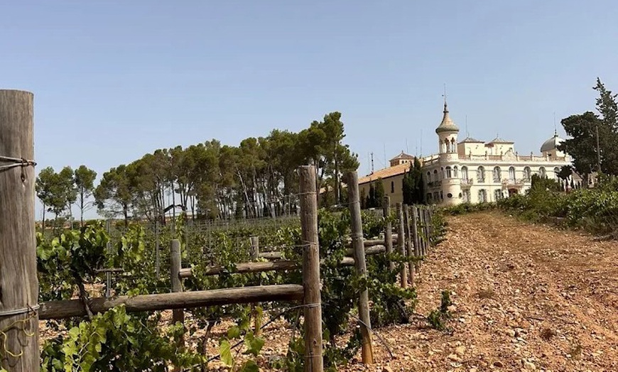 Image 19: Visita a una bodega, cata de vinos, vermut de bienvenida y aperitivo