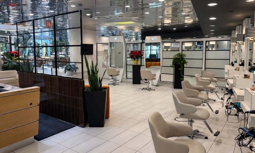 Image 2: Balayage Brazilian Blowout and More at Charles Ifergan Salon Oakbrook