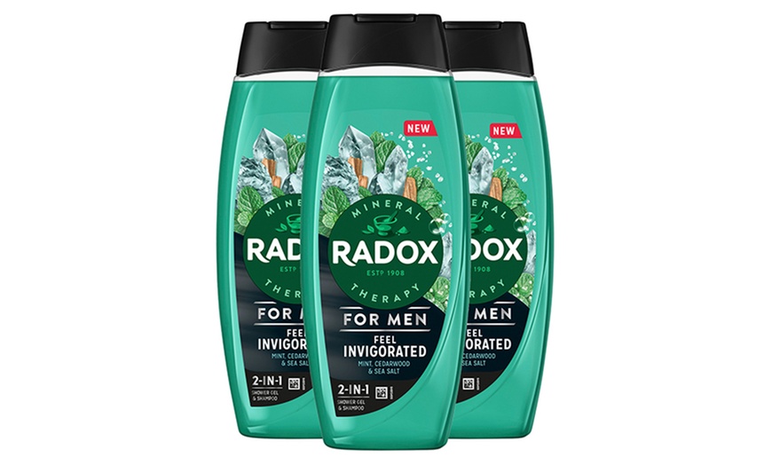 Image 3: Radox Mineral Therapy 2in1 Shower Gel and Shampoo 450ml