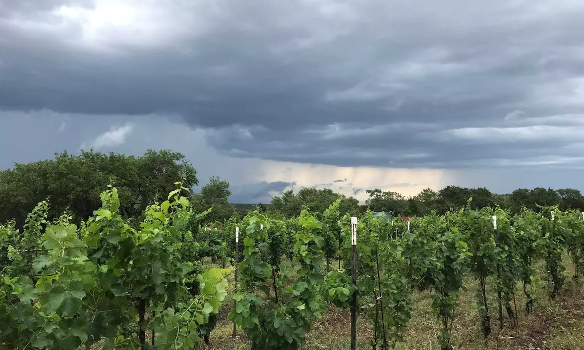 Sip and Explore Wine Flight for One, Two or Four