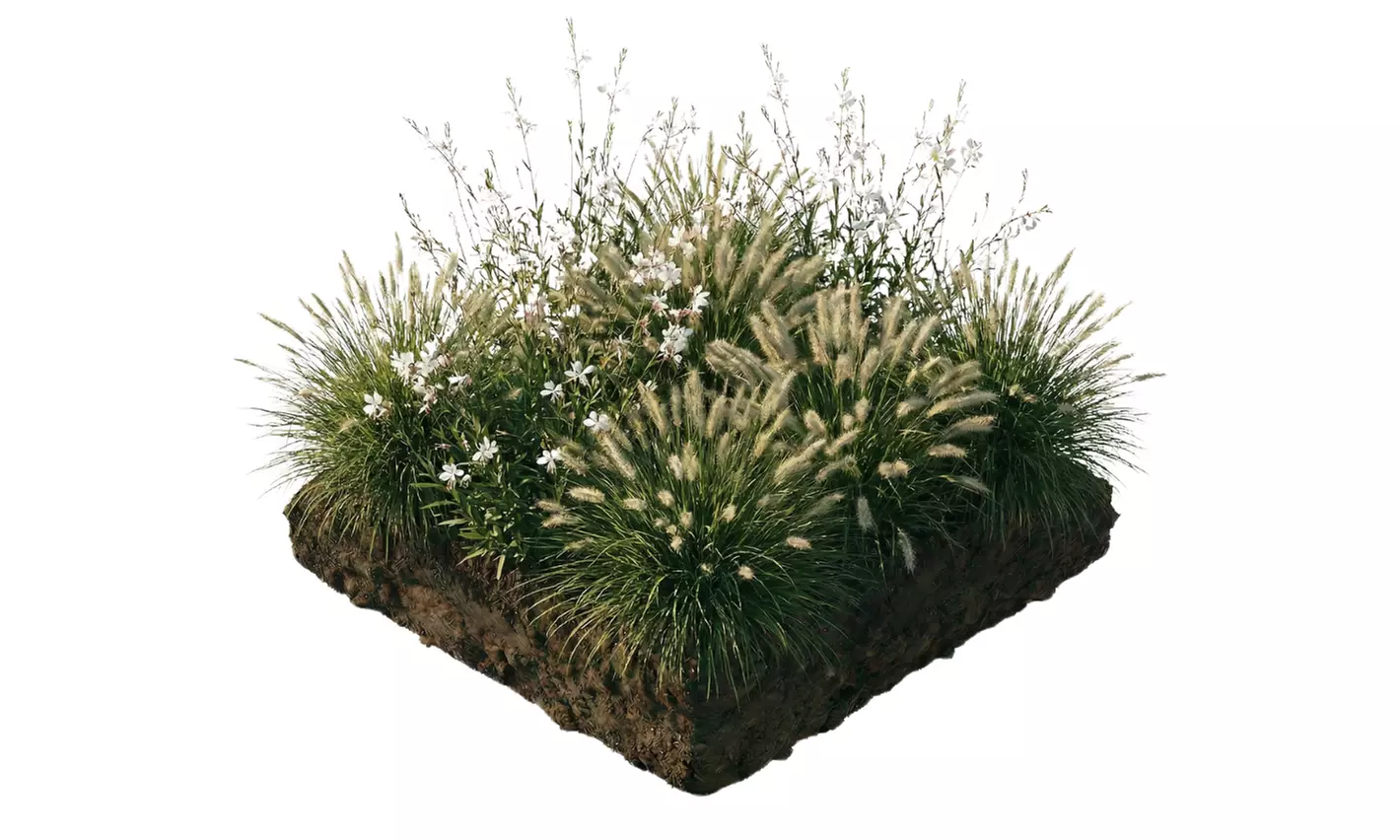 Mehrjähriges Set „Luna“ mit 9 Pflanzen