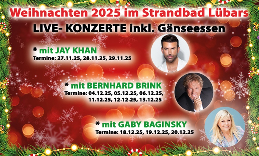 Image 2: Weihnachtliches Live-Konzert mit Bernhard Brink inkl. Gänseessen