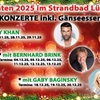 Image 2: Weihnachtliches Live-Konzert mit Bernhard Brink inkl. Gänseessen