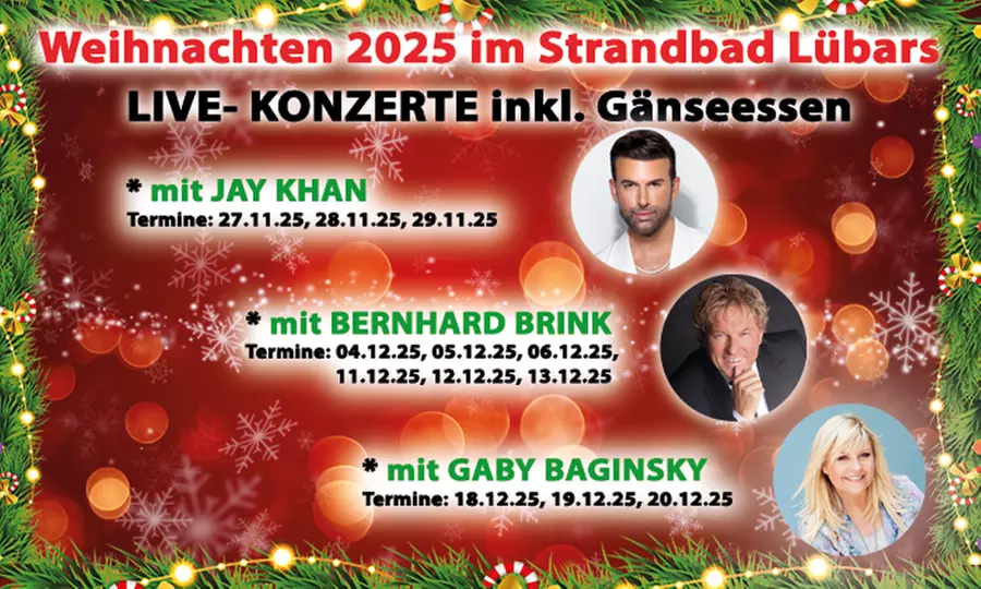 Weihnachtliches Live-Konzert mit Bernhard Brink inkl. Gänseessen vom 4.12. - 13.12. (bis 31% sparen) - Image 2