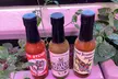 Explore Two CHSS Standard Bottles of Fiery Hot Sauces Today at California Hot Sauce Solutions (Save up to 20%) - Second Medium