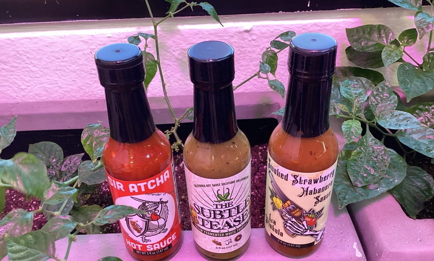 Image 6: Explore Two CHSS Standard Bottles of Fiery Hot Sauces Today