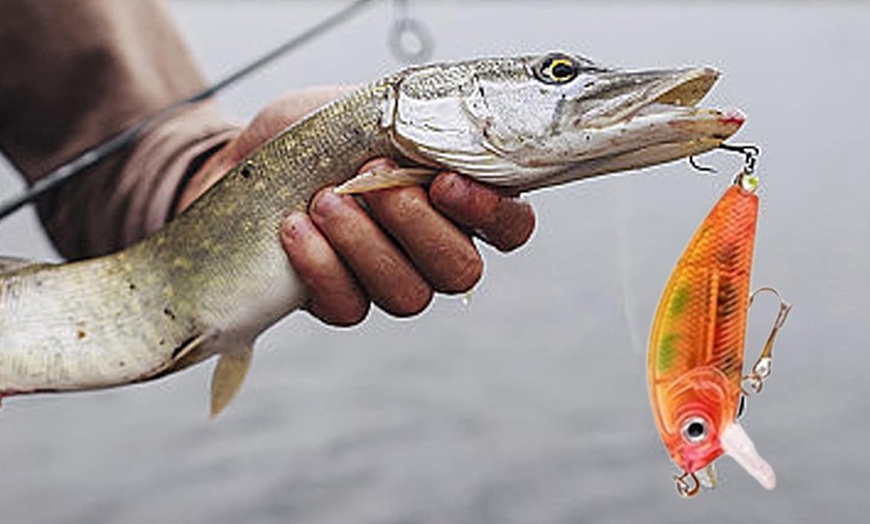 Image 7: Fishing Advent Calendar - 755728