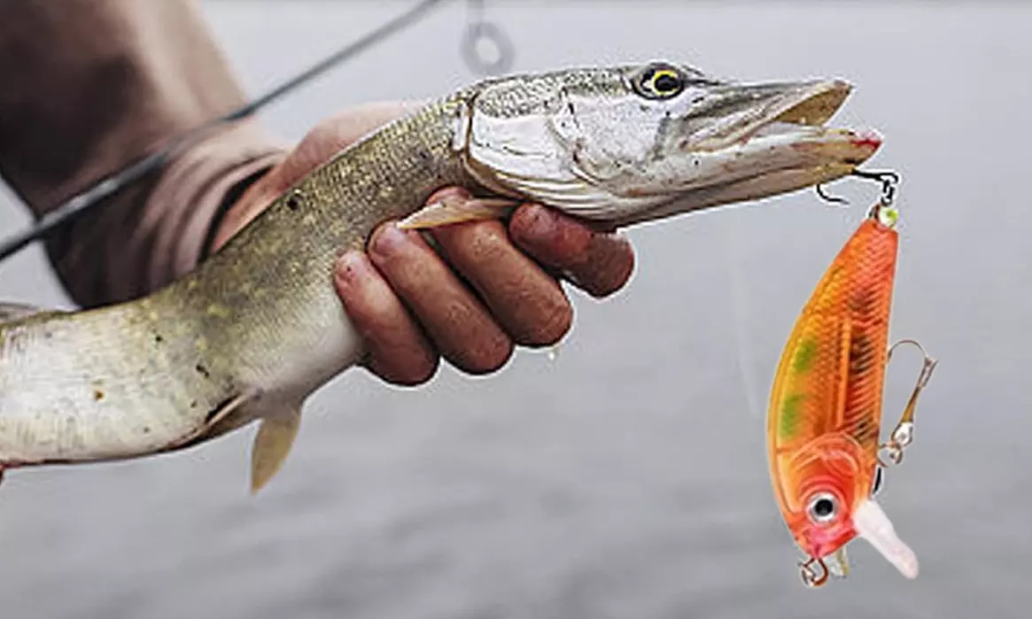 Fishing Advent Calendar - 755728 from Sensual Sale (Up to 60% Off) - Image 7