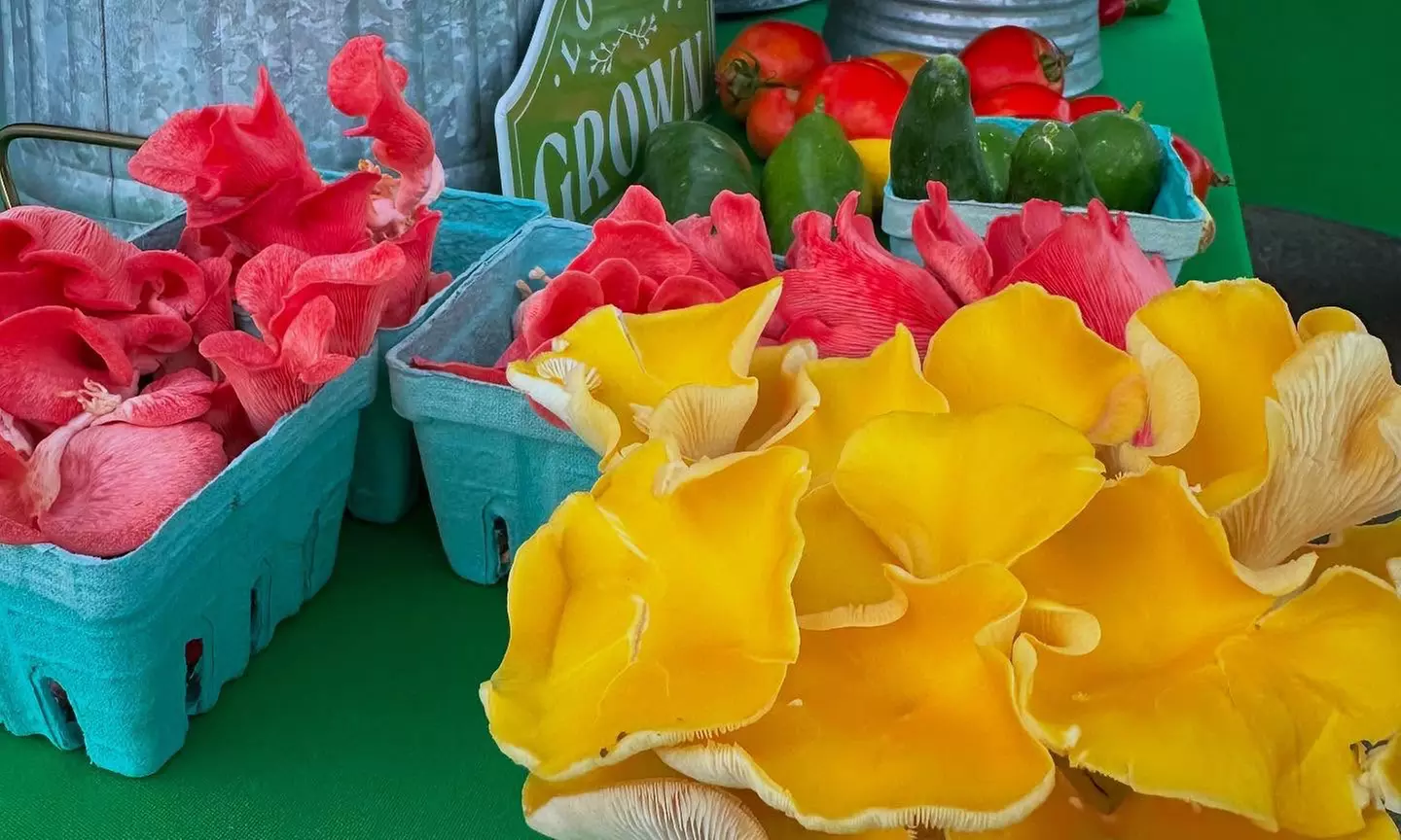 $100/$150 Worth of Farm Goods+Farm-to-Table Cookbook+1 Hr Private Tour