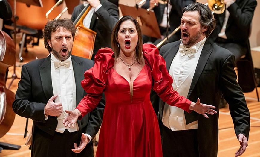 Image 4: 2 Tickets für Die große VERDI Gala mit Cristian Lanza vom 7.-11.02.26