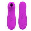 Image 3: 10 Speeds Clitoral Suction Vibrator Oral Kissing Nipples Sucker Climaxer Sex Toy