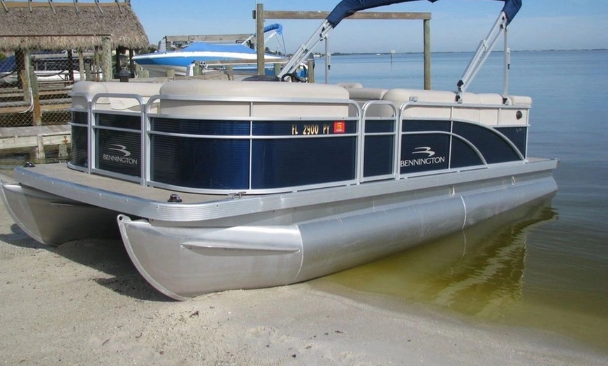 Image 1: 90-Minute Dolphin & Wildlife Cruise – Banana River