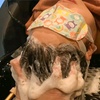 Image 2: Up to 54% Off on Salon - Scalp Care at HG Hair And Scalp Spa