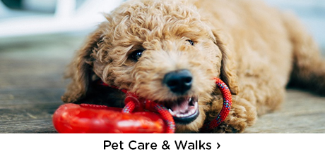 Pet Care & Walks