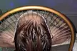 Unwind and Rejuvenate with a Head Spa at B&G Wellness ( Up to 40% Off ) - Second Medium